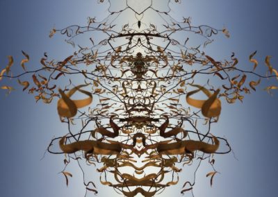 ART:::flacke - Bildtitel: Cocoon (Tryptichon)