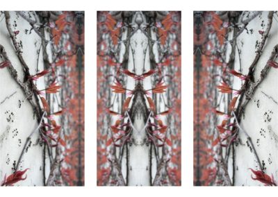 ART:::flacke - Bildtitel: Insective (Tryptichon)